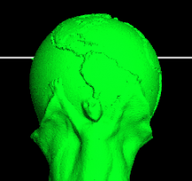 ģ