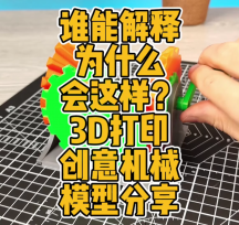 lܽጞʲô(hu)@ӣ3Dӡ(chung)C(j)еģͷ